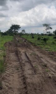 roseville gardens lands