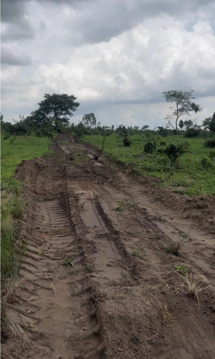 Home roseville gardens lands